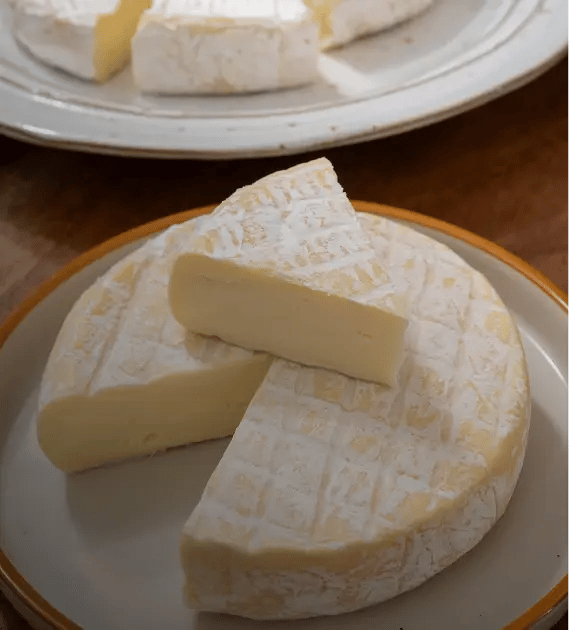 camembert cheese